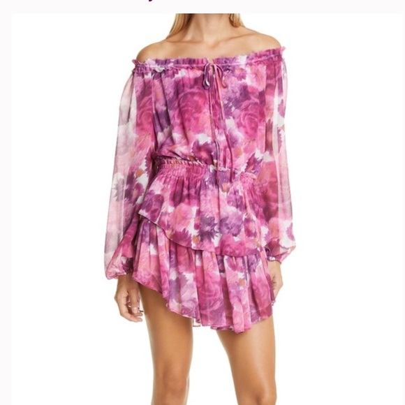 LoveShackFancy Popover Mini Dress | Small - Picture 6 of 7